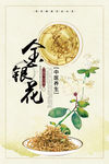 金银花