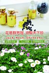 油牡丹