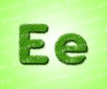 绿色草地英文Ee