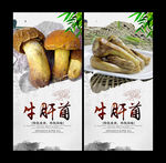 牛肝菌