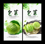 包菜