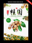 桂圆海报