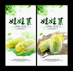 娃娃菜