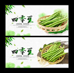 四季豆