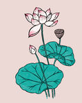 荷花莲子手绘无框画