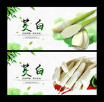 茭白