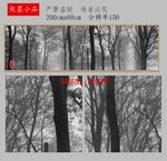 发财树黑白树