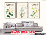 装饰画无框画