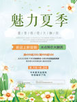 魅力夏季