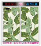芭蕉叶手机图片