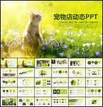 宠物店工作PPT模板