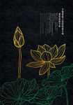 中国风荷花