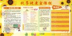 秋季健康宣传栏