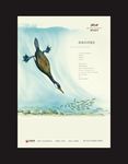 海报 报广
