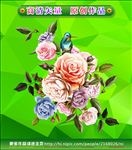 玫瑰花