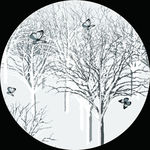 新中式爱的白桦林