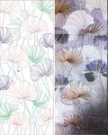 芭蕉叶