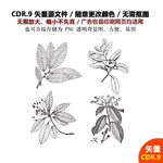 手绘植物花草矢量图
