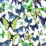 中国风水墨蝴蝶图案设计