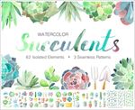 手绘多肉植物水彩画