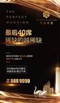 黑金地产海报