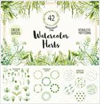 绿植青草药草水彩画