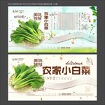 小白菜