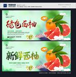 西柚