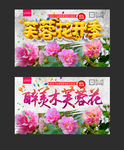 芙蓉花