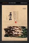 蘑菇