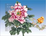 牡丹花矢量图