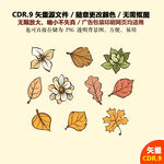 精美手绘树叶花朵枫叶矢量图