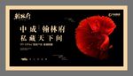 锦鲤 鱼