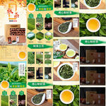 茶叶详情页