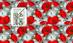 礼盒设计