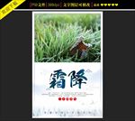二十四节气霜降海报