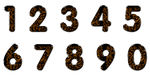 琥珀数字