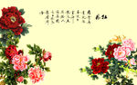 手绘花开富贵牡丹牡丹颂