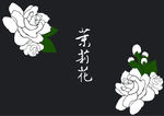飘香茉莉花