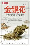 中草药金银花海报