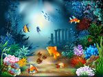 海底世界 海草