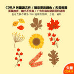 精美彩色树叶花朵花草矢量图