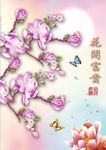 玉兰花