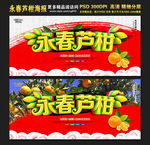 永春芦柑