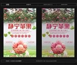 苹果