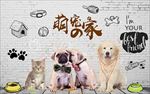 宠物装饰画背景墙