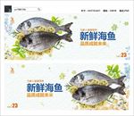 海鱼