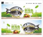 海鱼