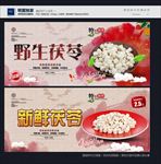 茯苓