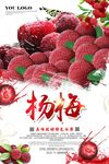 清新水果杨梅展板